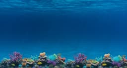 Tello Coupons for October 2025