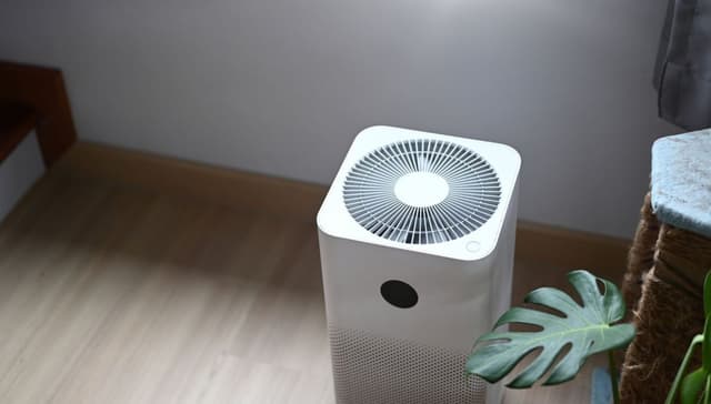 The Best Air Purifiers of 2025