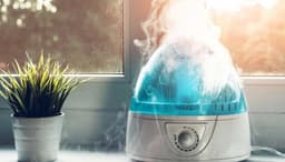 The Best Humidifiers Suggested by Expert in 2025
