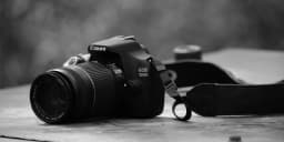 The Best Mirrorless Cameras for Every Need: Travel, Vlogging, and Professional Use