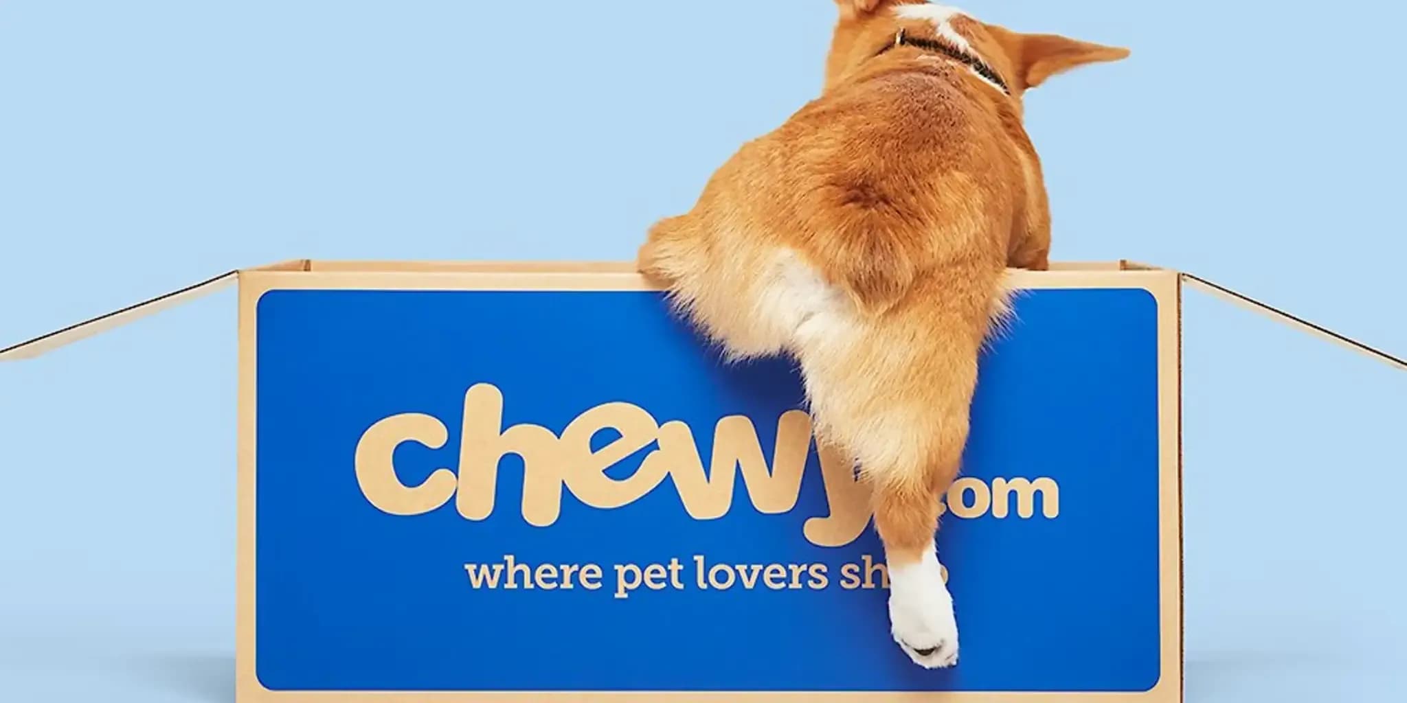 Chewy Promo Codes for September 2025 That Actually Work