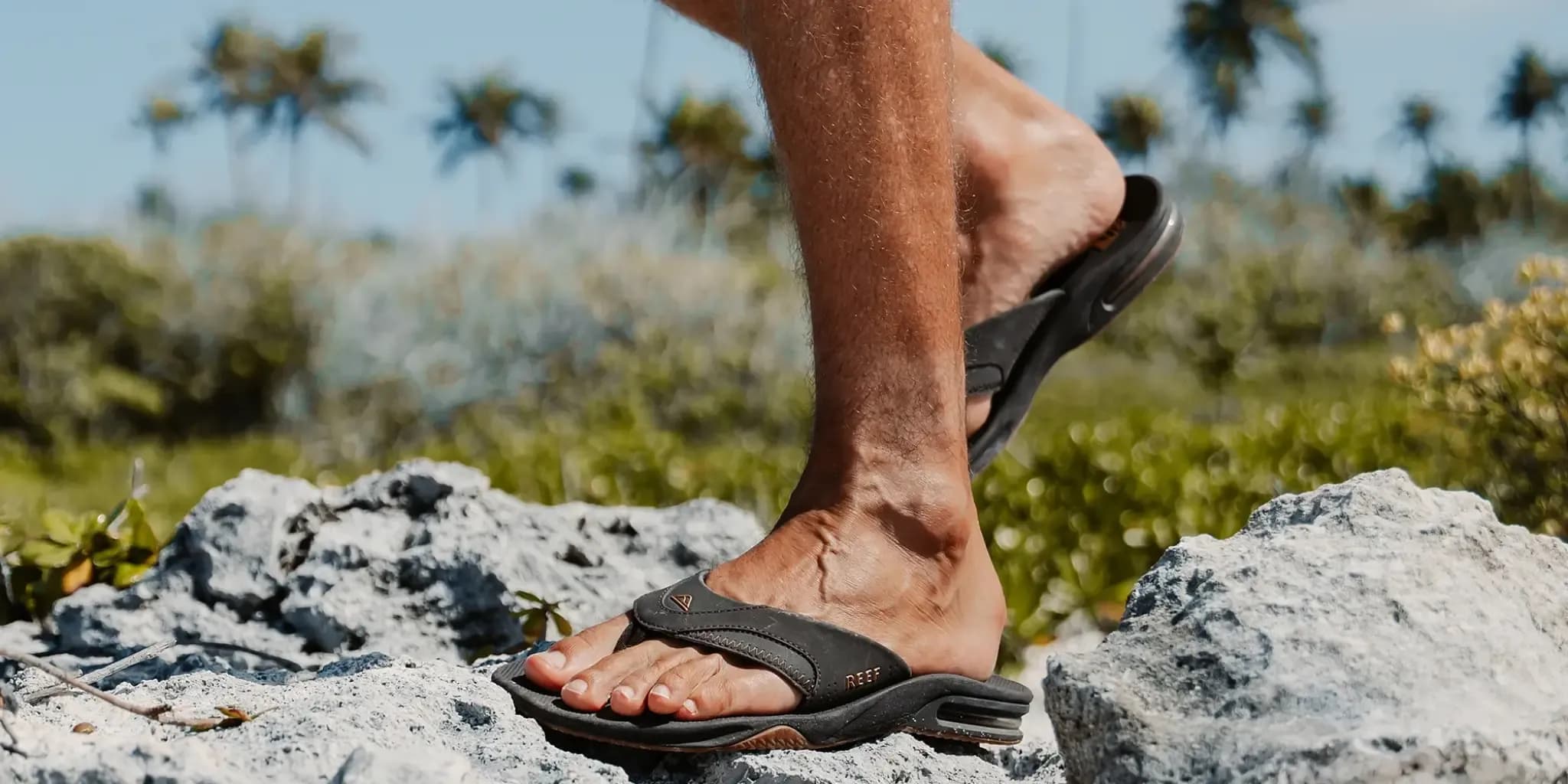 Cool for the Summer with REEF Promo Codes for October 2025