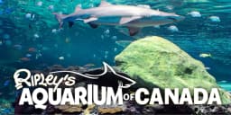 Ripley’s Aquarium Promo Codes for September 2025