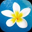 Hawaiiactivities.com Promo Codes for February 2026