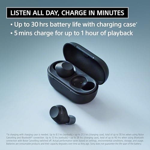 Sony WF-C710N Truly Wireless Noise-Canceling Earbuds with up to 30-Hour Battery Life, Lightweight and Secure, Black