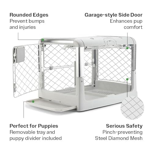 DIGGS Revol Collapsible Dog Crate with Wheels - Premium Portable Dog Crate - Safe, Stylish, and Convenient Indoor Kennel (Ash, Small)