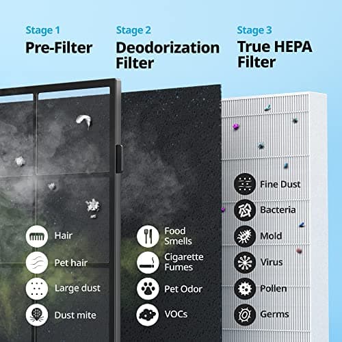Coway AP-1512HH Mighty Air Purifier with True HEPA and Eco Mode, black/silver, 16.8 x 18.3 x 9.6
