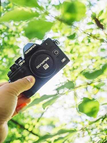 Olympus OM-D E-M10 Mark IV Black Camera Body