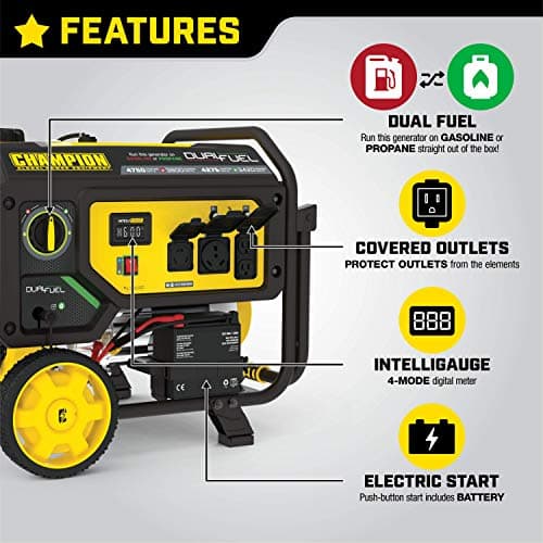 Champion Power Equipment 4750-Watt Dual Fuel Portable Generator with Electric Start, Wheel Kit