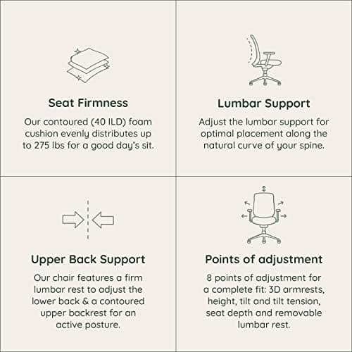 Branch Ergonomic Chair - A Versatile Desk Chair with Adjustable Lumbar Support, Breathable Mesh Backrest, and Smooth Wheels - Experience Optimal Comfort and Support - All Black