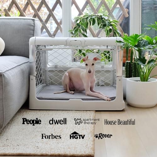 DIGGS Revol Collapsible Dog Crate with Wheels - Premium Portable Dog Crate - Safe, Stylish, and Convenient Indoor Kennel (Ash, Small)