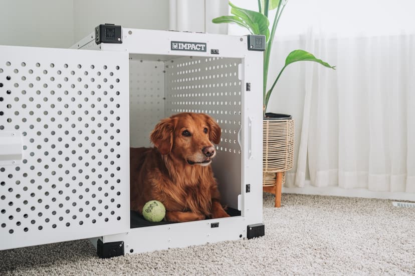 Impact Indestructible High Anxiety Dog Crate for Large Dogs - Heavy Duty Escape Proof Indoor Dog Kennel with Powder-Coated Aluminum - Ideal for Escape Artists (White, 40" (40.5" L x 23" W x 29" H)