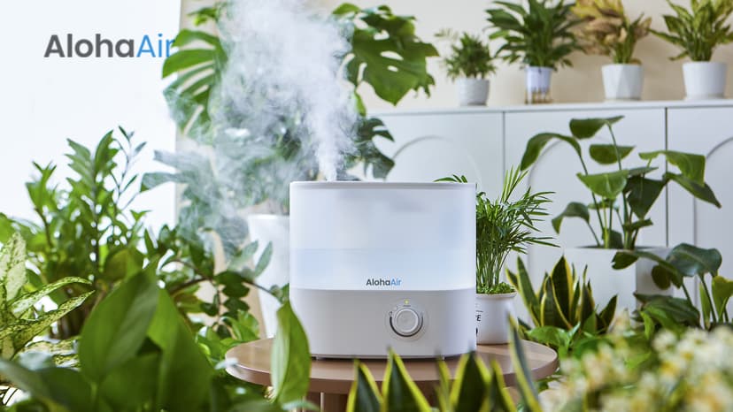Humidifiers for Bedroom, Cool Mist Top Fill Essential Oil Diffuser, 7 Color Lights, Quiet, 360° Nozzle, Auto Shut-Off, (White)
