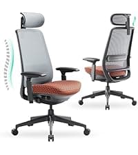 COLAMY Ergonomic Mesh Office Chair, High Back Office Chair, Computer Executive Desk Chair with Lumbar Support,Adjustable Headrest and 4D Arms, Slide Seat, Tilt Lock-Darkgrey New