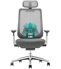 COLAMY Ergonomic Mesh Office Chair, High Back Office Chair, Computer Executive Desk Chair with Lumbar Support,Adjustable Headrest and 4D Arms, Slide Seat, Tilt Lock-Darkgrey New