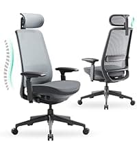COLAMY Ergonomic Mesh Office Chair, High Back Office Chair, Computer Executive Desk Chair with Lumbar Support,Adjustable Headrest and 4D Arms, Slide Seat, Tilt Lock-Darkgrey New