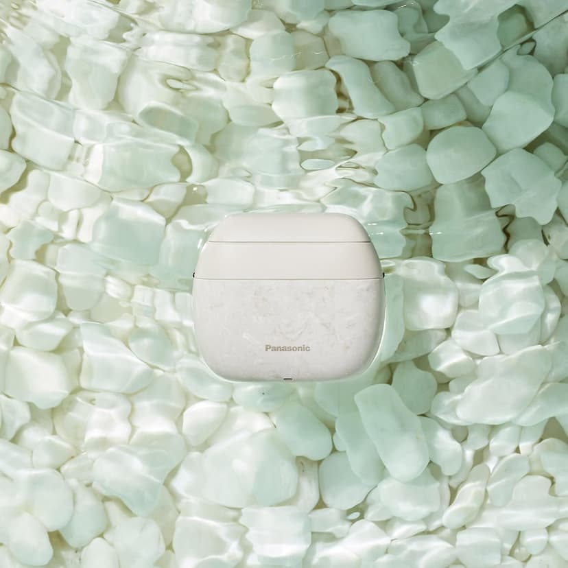 Panasonic ARC5 Palm Shaver