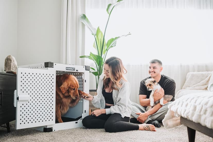 Impact Indestructible High Anxiety Dog Crate for Large Dogs - Heavy Duty Escape Proof Indoor Dog Kennel with Powder-Coated Aluminum - Ideal for Escape Artists (White, 40" (40.5" L x 23" W x 29" H)