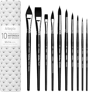 ARTEGRIA Watercolor Brush Set, 10 Professional Soft Synthetic Squirrel Paint Brushes, Including Pointed Rounds, Flats, Dagger, Oval Wash