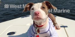 Catch Big Savings with West Marine Promo Codes for October 2025