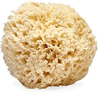 LATHER Natural Sea Wool Sponge, 5-6" - Organic Exfoliating Body Scrubber - Soft, Gentle Cleansing - Hypoallergenic - All Skin Types - Florida Natural Loofah Sponge - Cruelty Free - Beauty & Skincare