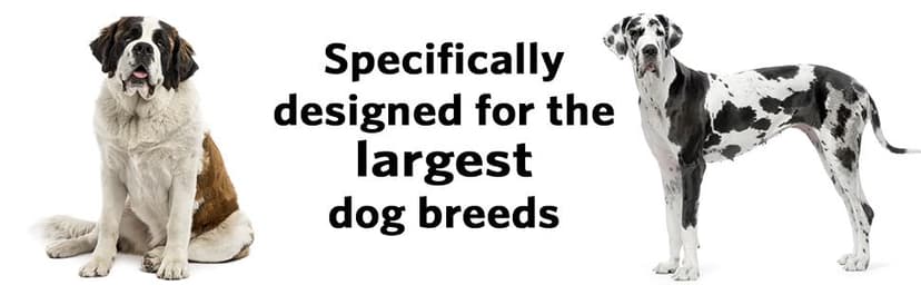Midwest Homes for Pets Ginormous Single Door 54-Inch Dog Crate for XXL Dogs Breeds; Great Dane, Mastiff, St. Bernard, Drop Pin Assembly Requires Two People; Divider Panel Not Included; Black: SL54