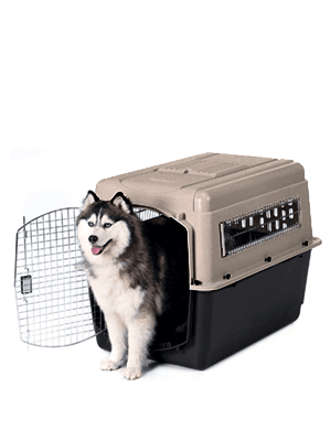 Petmate ASPEN PET Pet Porter Dog Kennel, Various Sizes, Made in USA