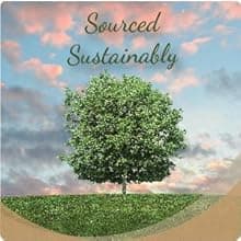 Casual Home Wooden Medium Pet Crate, End Table, Espresso