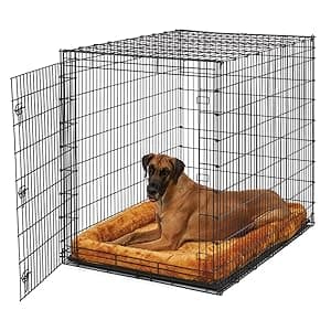 Midwest Homes for Pets Ginormous Single Door 54-Inch Dog Crate for XXL Dogs Breeds; Great Dane, Mastiff, St. Bernard, Drop Pin Assembly Requires Two People; Divider Panel Not Included; Black: SL54