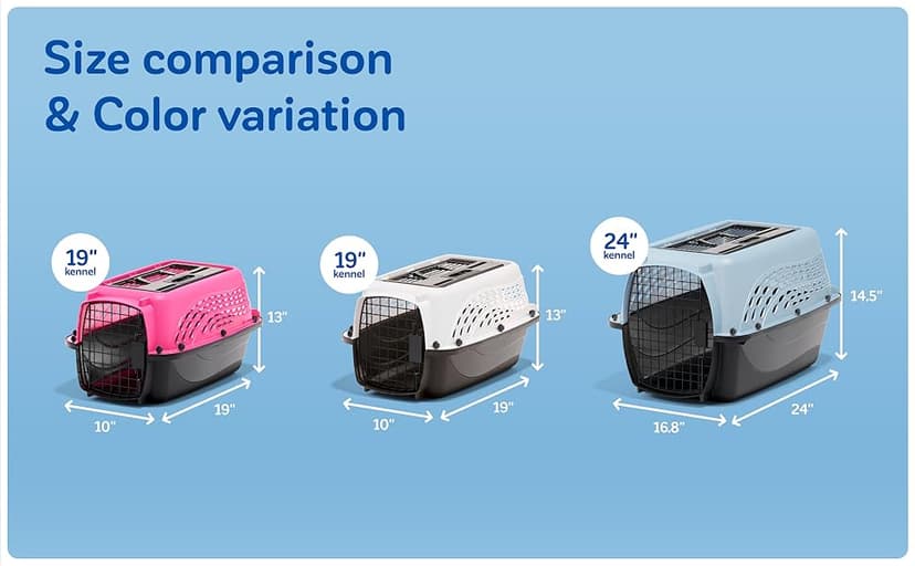 Petmate Dog Crates for Small Dogs & Cat Carriers, Two-Door Plastic Pet Kennel, Top & Front Loading, Made in USA, 24", Blue