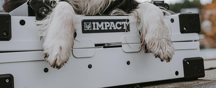 Impact Indestructible High Anxiety Dog Crate for Large Dogs - Heavy Duty Escape Proof Indoor Dog Kennel with Powder-Coated Aluminum - Ideal for Escape Artists (White, 40" (40.5" L x 23" W x 29" H)