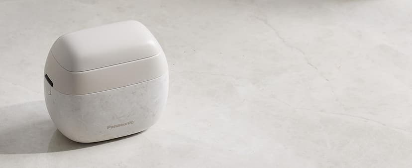 Panasonic ARC5 Palm Shaver