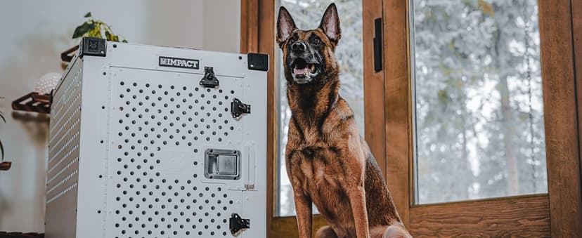 Impact Indestructible High Anxiety Dog Crate for Large Dogs - Heavy Duty Escape Proof Indoor Dog Kennel with Powder-Coated Aluminum - Ideal for Escape Artists (White, 40" (40.5" L x 23" W x 29" H)