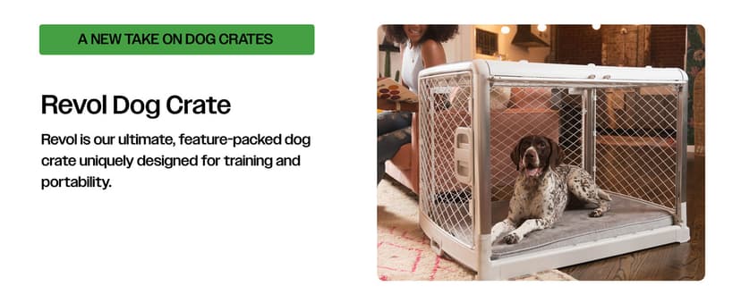 DIGGS Revol Collapsible Dog Crate with Wheels - Premium Portable Dog Crate - Safe, Stylish, and Convenient Indoor Kennel (Ash, Small)
