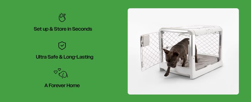 DIGGS Revol Collapsible Dog Crate with Wheels - Premium Portable Dog Crate - Safe, Stylish, and Convenient Indoor Kennel (Ash, Small)