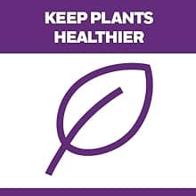 Honeywell Mini Cool Mist humidifier, Easy to Fill and Clean, humidifier for small Bedroom, Kids Rooms, or office. Ultra Quiet Operation and Auto Shut-Off - White, HUL525W