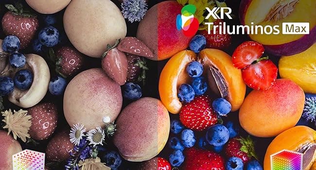 Sony BRAVIA 8 II 65 Inch TV, QD OLED, 4K Smart Google TV, XR Processor with AI Technology, Ultra Slim Design, 120hz Television, Dolby Vision/Atmos, Exclusive Features for PS5, K-65XR80M2, 2025 Model