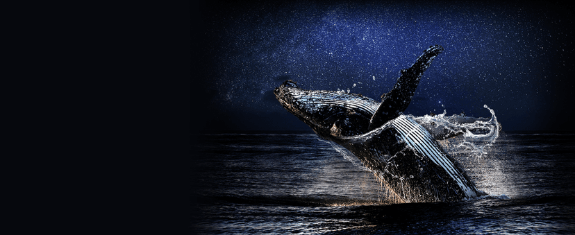 LG 42-Inch Class OLED evo C4 Series Smart TV 4K Processor Flat Screen with Magic Remote AI-Powered with Alexa Built-in (OLED42C4PUA, 2024)