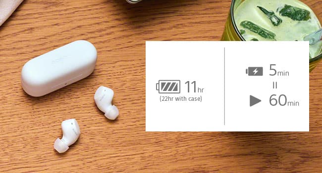 Sony WF-C510 Truly Wireless in-Ear Bluetooth Earbud Headphones with up to 22-Hour Battery, Multipoint-Connection, Mic and IPX4 Water Resistance, Black- New