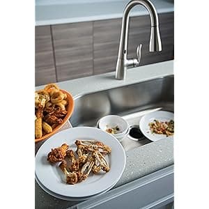 Waste King Garbage Disposal for Kitchen Sink with Power Cord, L-1001