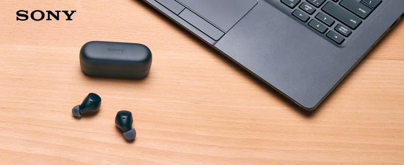 Sony WF-C510 Truly Wireless in-Ear Bluetooth Earbud Headphones with up to 22-Hour Battery, Multipoint-Connection, Mic and IPX4 Water Resistance, Black- New