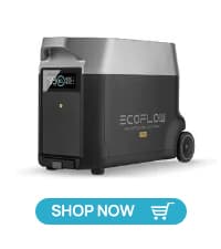 EF ECOFLOW Portable Power Station 3600Wh DELTA Pro, 120V AC Outlets x 5, 3600W, 2.7H Fast Charge, Lifepo4 Power Station, Solar Generator for Home Use, Power Outage, Camping, RV, Emergencies