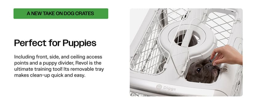 DIGGS Revol Collapsible Dog Crate with Wheels - Premium Portable Dog Crate - Safe, Stylish, and Convenient Indoor Kennel (Ash, Small)