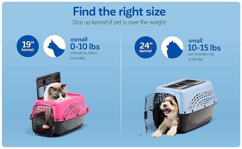Petmate Dog Crates for Small Dogs & Cat Carriers, Two-Door Plastic Pet Kennel, Top & Front Loading, Made in USA, 24", Blue
