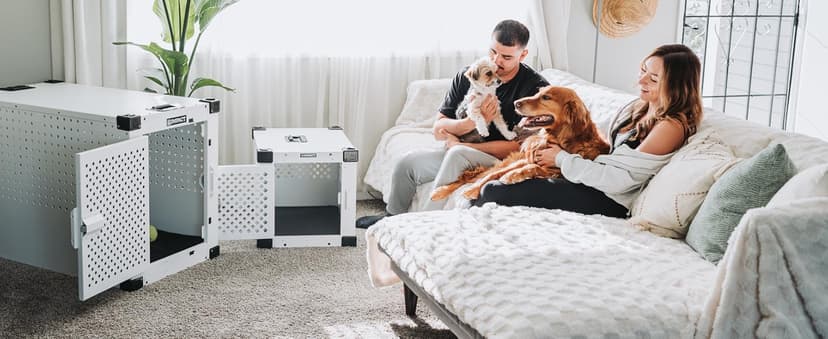 Impact Indestructible High Anxiety Dog Crate for Large Dogs - Heavy Duty Escape Proof Indoor Dog Kennel with Powder-Coated Aluminum - Ideal for Escape Artists (White, 40" (40.5" L x 23" W x 29" H)