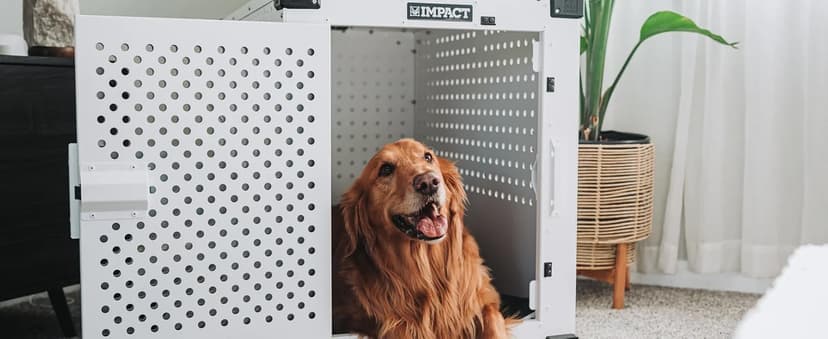 Impact Indestructible High Anxiety Dog Crate for Large Dogs - Heavy Duty Escape Proof Indoor Dog Kennel with Powder-Coated Aluminum - Ideal for Escape Artists (White, 40" (40.5" L x 23" W x 29" H)