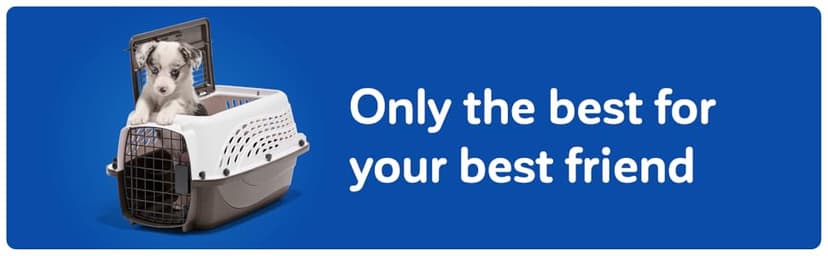 Petmate Dog Crates for Small Dogs & Cat Carriers, Two-Door Plastic Pet Kennel, Top & Front Loading, Made in USA, 24", Blue