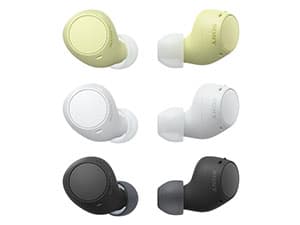 Sony WF-C510 Truly Wireless in-Ear Bluetooth Earbud Headphones with up to 22-Hour Battery, Multipoint-Connection, Mic and IPX4 Water Resistance, Black- New