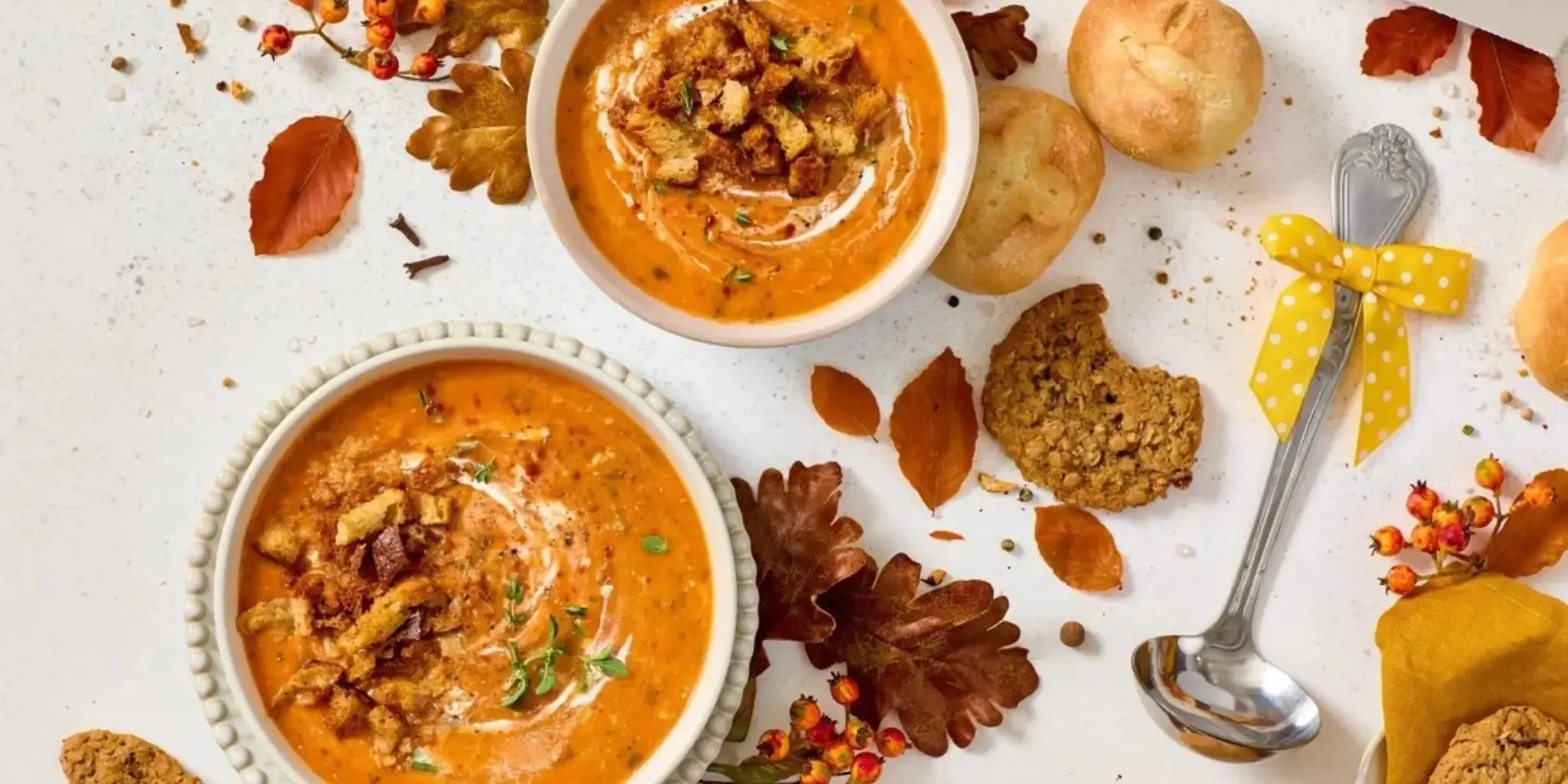 Fall Collection of Comforts