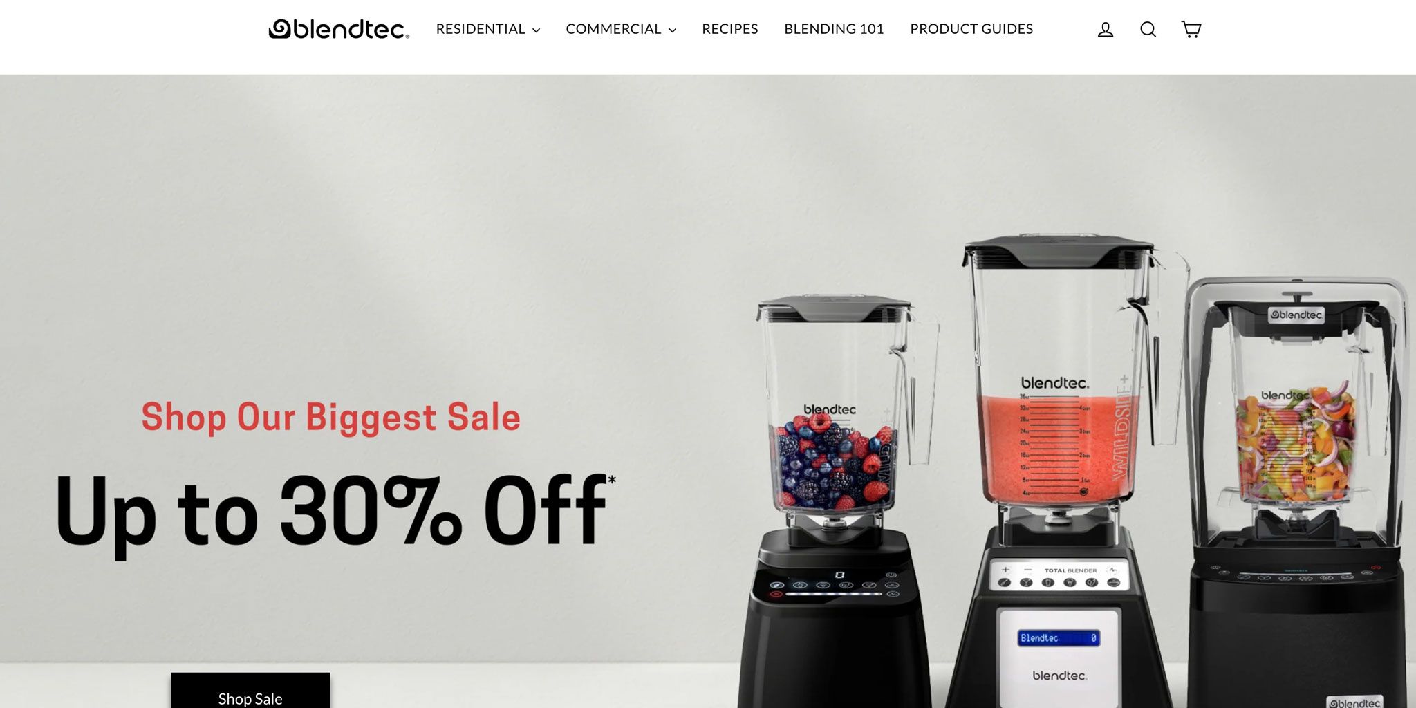 Blendtec.com Promo Codes for June 2026